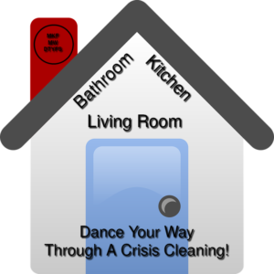 crisis cleaning your home 31217