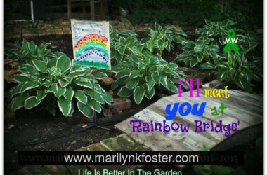 rainbowbridgesigngmwsayingupdate2017