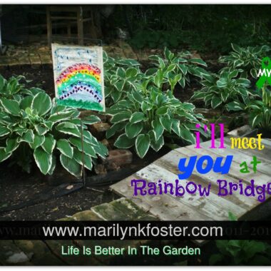 rainbowbridgesigngmwsayingupdate2017