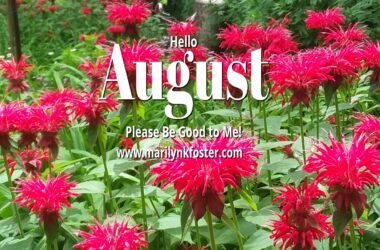 HelloAugust