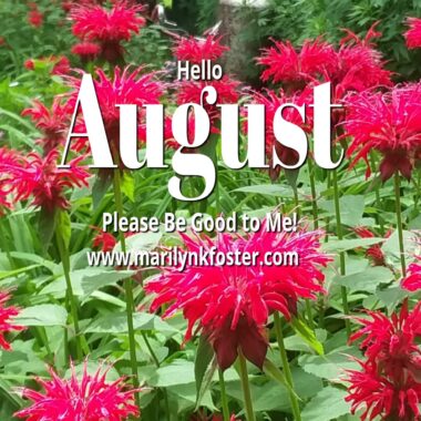 HelloAugust