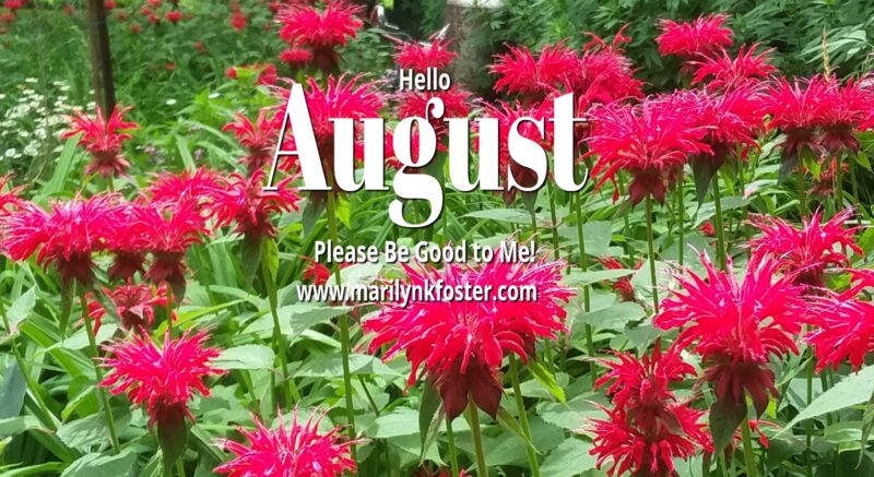 HelloAugust