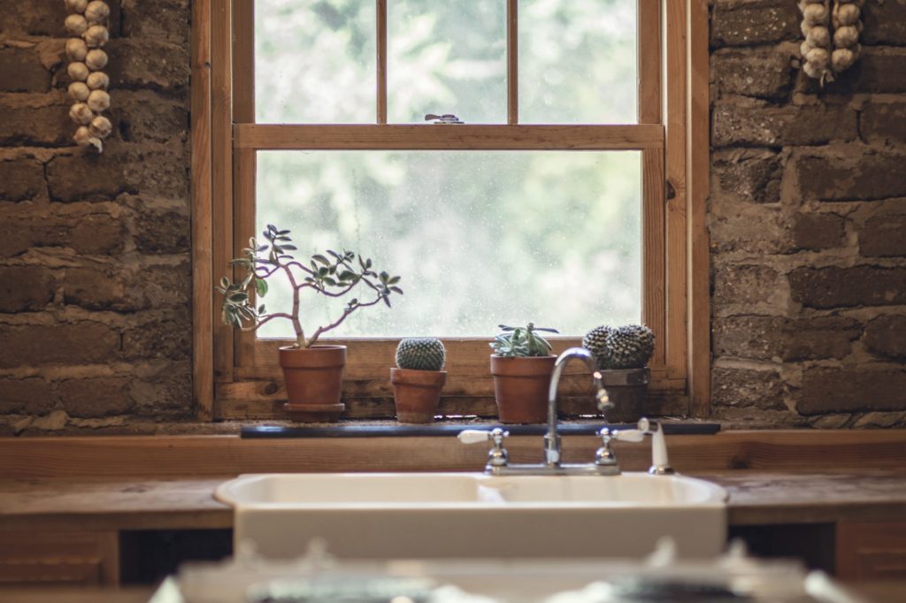 kitchen plants