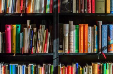 marilynslibraryofbooksblogphoto