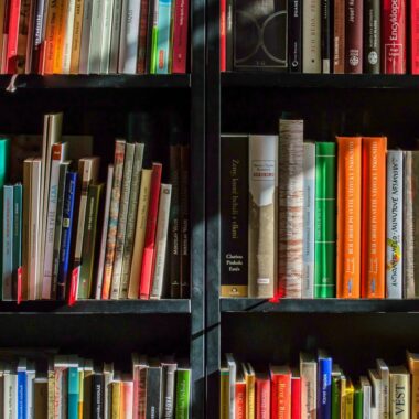 marilynslibraryofbooksblogphoto