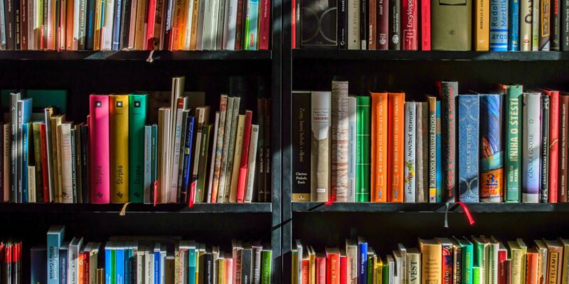 marilynslibraryofbooksblogphoto