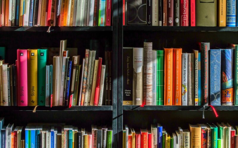 marilynslibraryofbooksblogphoto